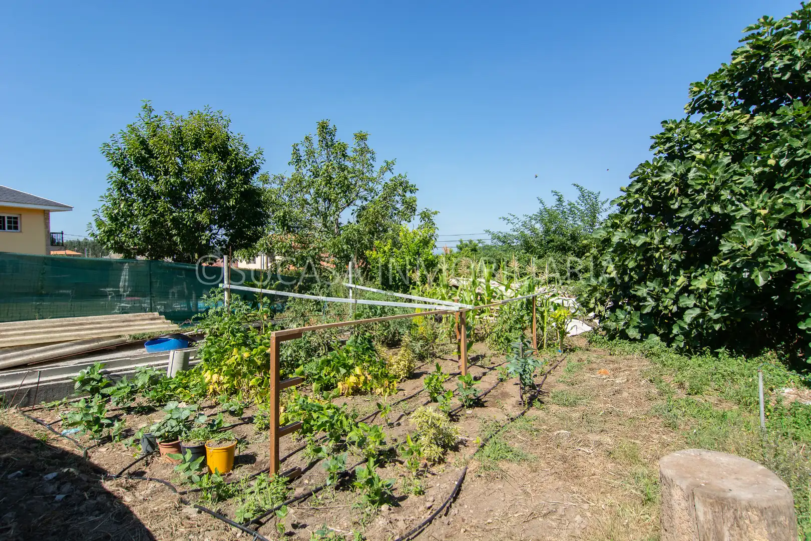 Garten von Einfamilien-Reihenhaus zum Verkauf in Carral mit Heizung, Privatgarten und Abstellraum