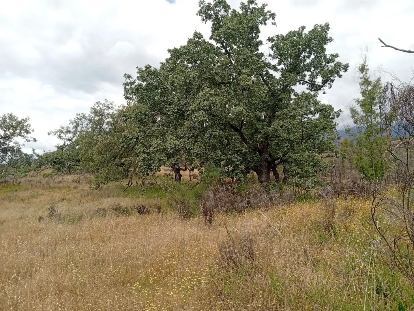Terreni e lotti in vendita a Villanueva de la Vera, imagen 68