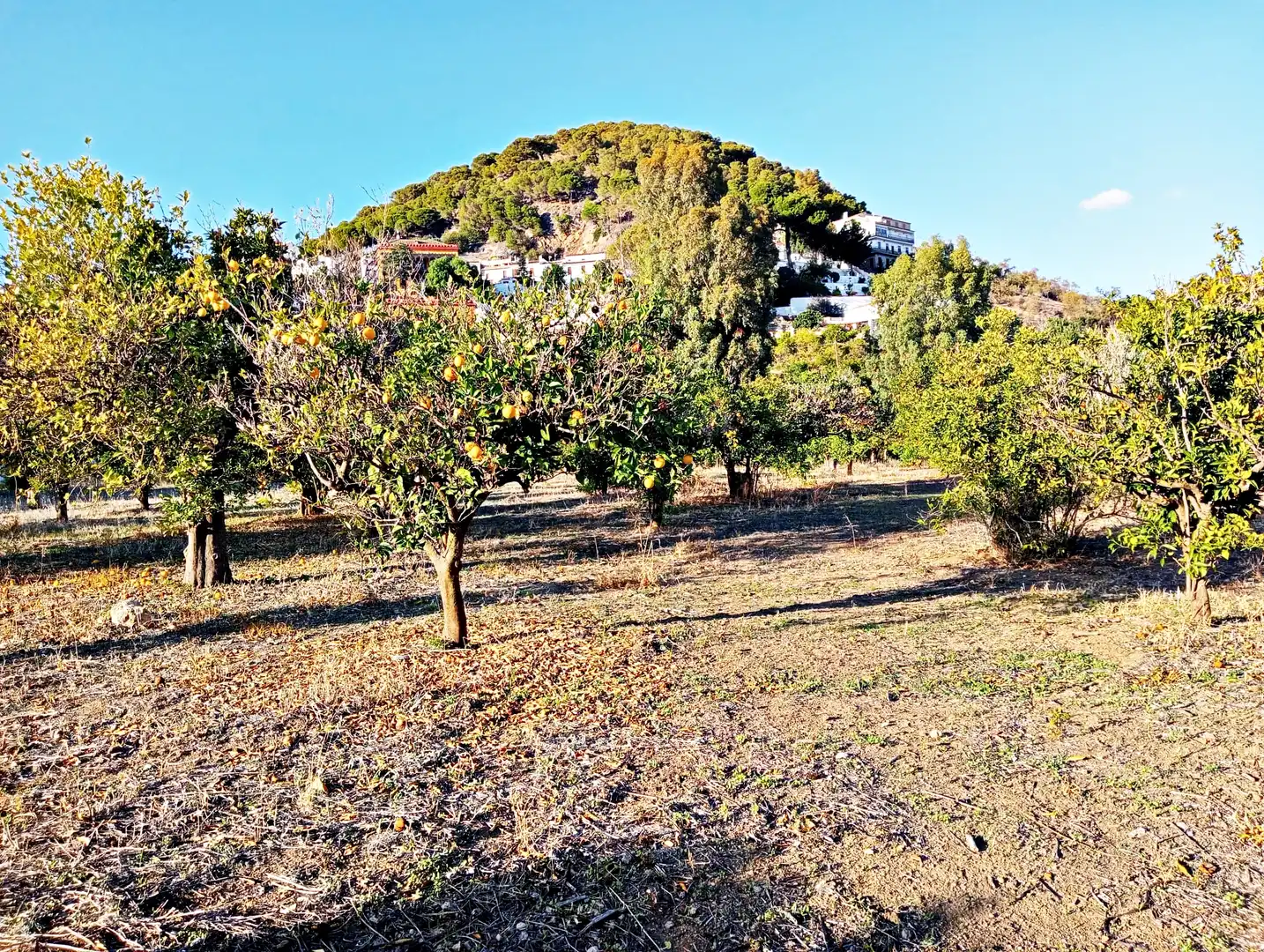 Country house zum Verkauf in Carratraca mit Privatgarten, Terrasse und Möbliert