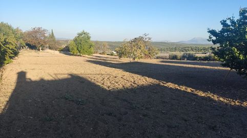 Se vende parcela con escrituras, luz, agua potable y de riego., imagen 2