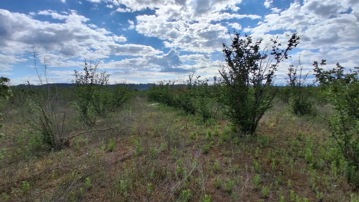 Terreno en venta en El Milà