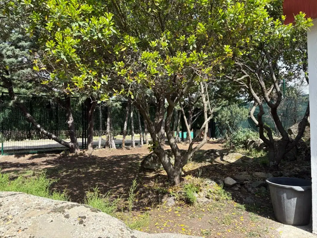 Finca rústica en venta en El Escorial con Calefacción y Jardín privado
