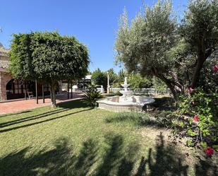 Jardí de Casa o xalet en venda en Elche / Elx amb Aire condicionat i Piscina