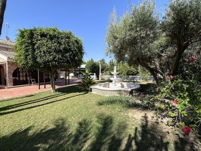 Jardí de Casa o xalet en venda en Elche / Elx amb Aire condicionat i Piscina