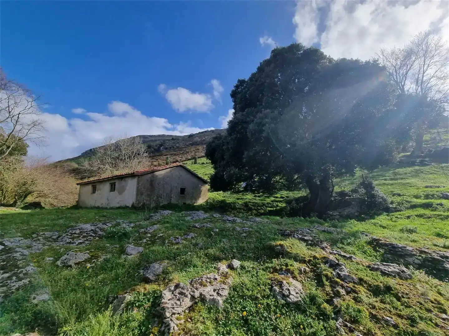 Finca rústica en venda en Ruesga