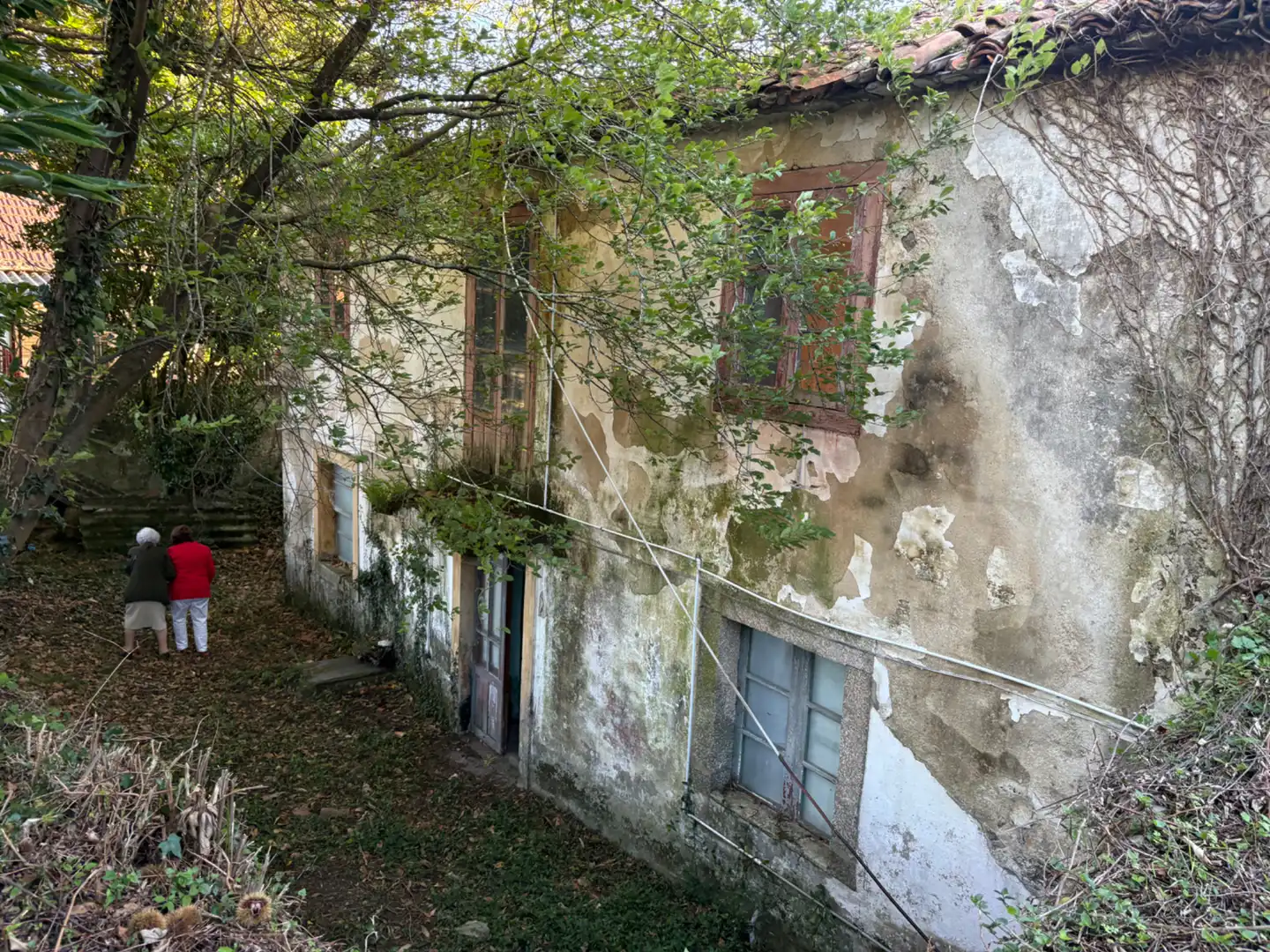 Vista exterior de Casa o chalet en venta en Neda con Jardín privado