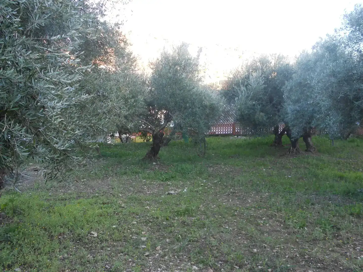 Casa o xalet en venda en Montejaque amb Jardí privat, Traster i Moblat