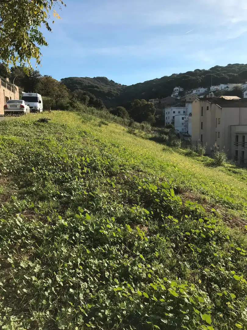 Wohnbaugrundstück zum Verkauf in Arenys de Munt, imagen 2