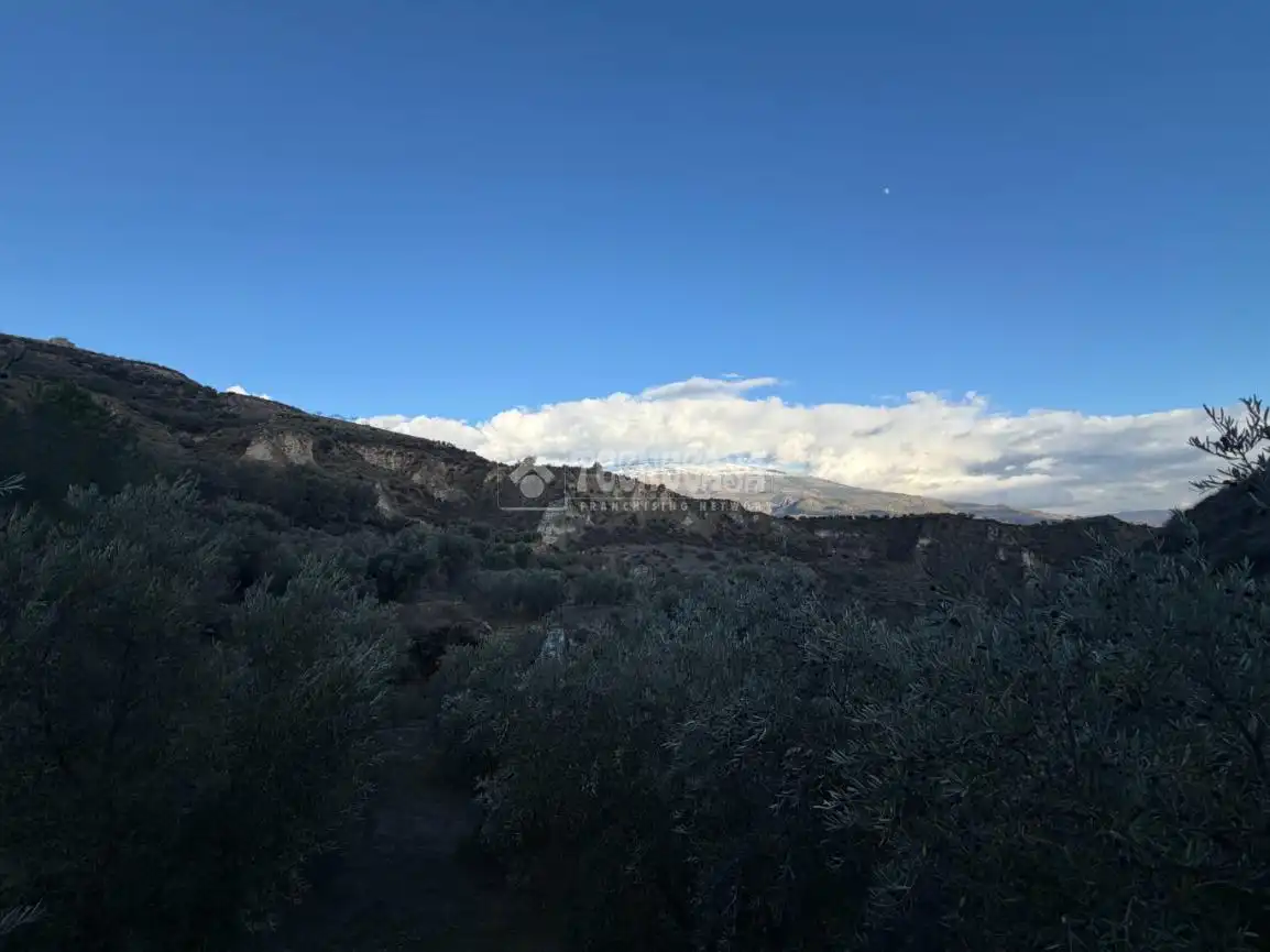 Terreno rustico in vendita a El Valle, imagen 17