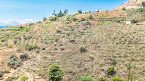 Parcela Rústica en Torrox