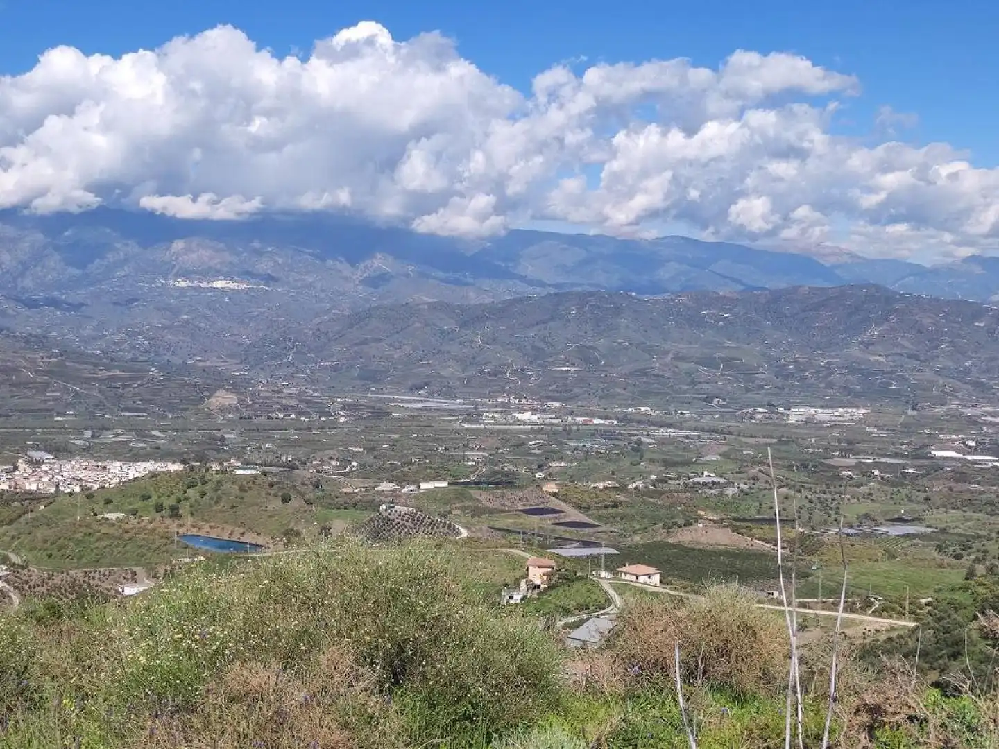 Vista exterior de Casa o chalet en venta en Benamocarra con Jardín privado, Terraza y Trastero