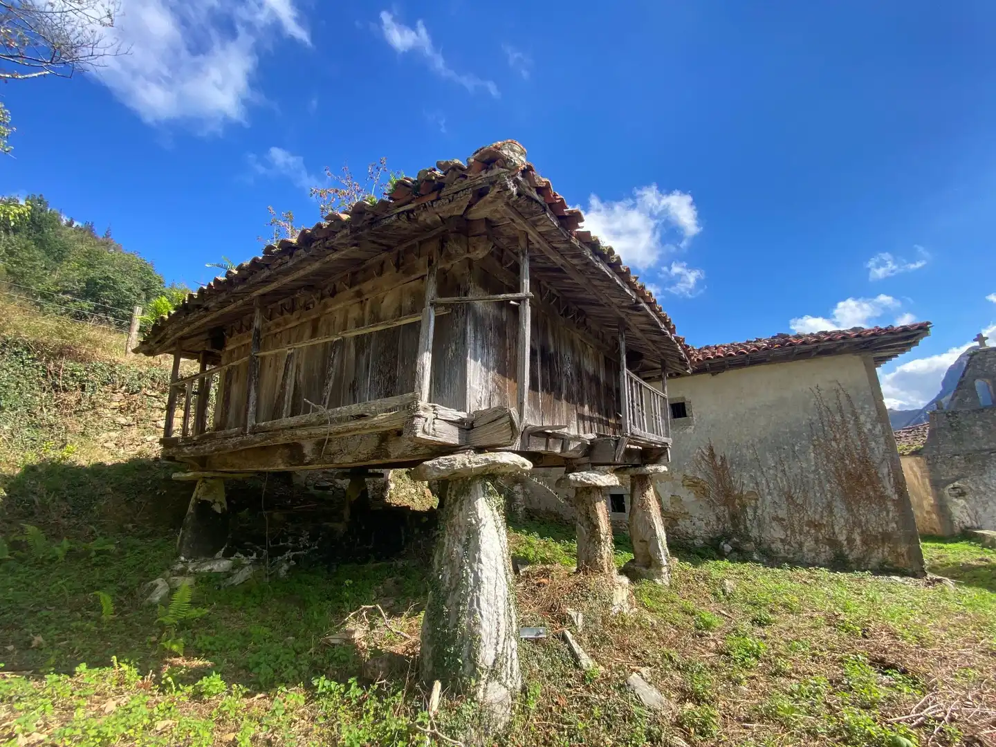 Maison avec jardin à vendre à Tresmonte, imagen 59