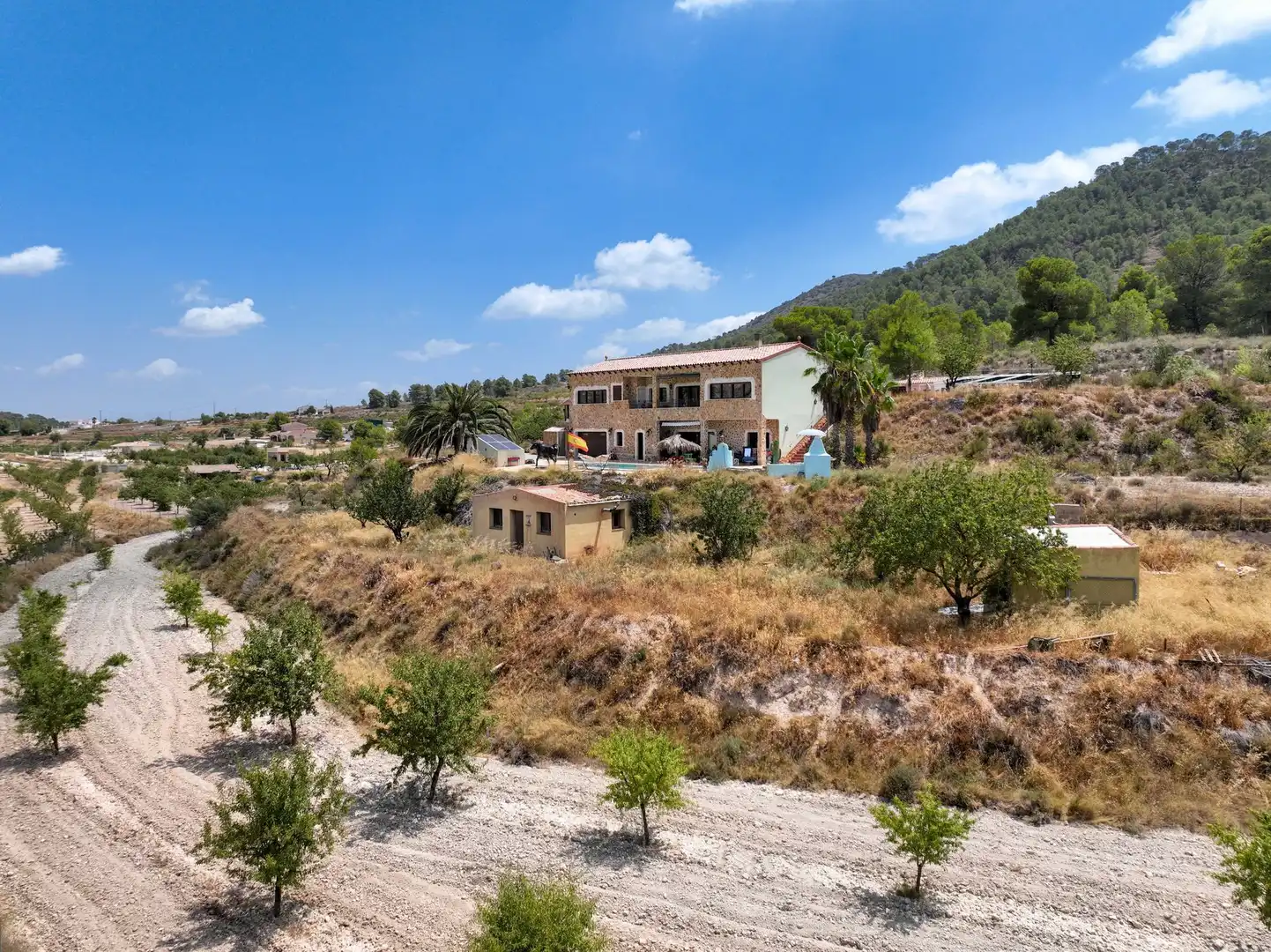 Casa rústica en venda a El Pinós / Pinoso, imagen 7