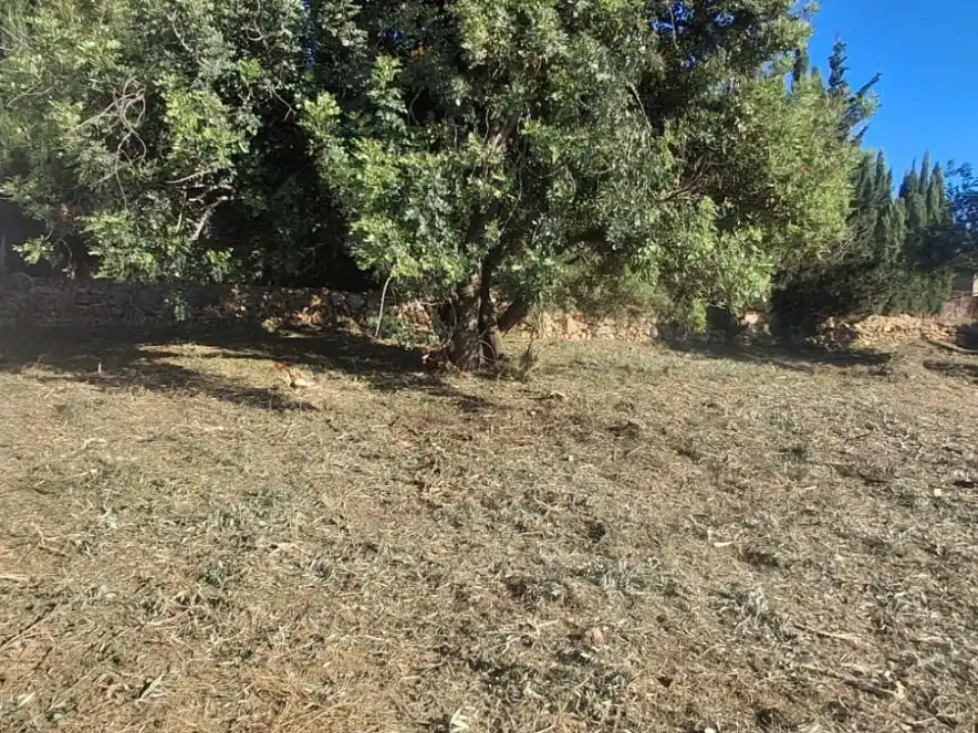 Residential land for sale in Calle del Sol 10, imagen 5