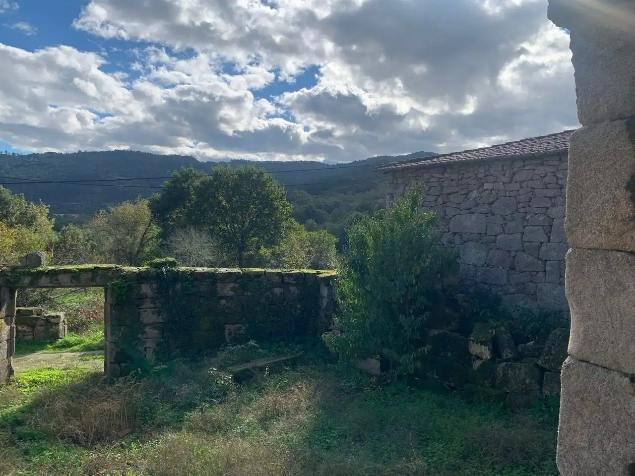Houses for sale in San Rosendo