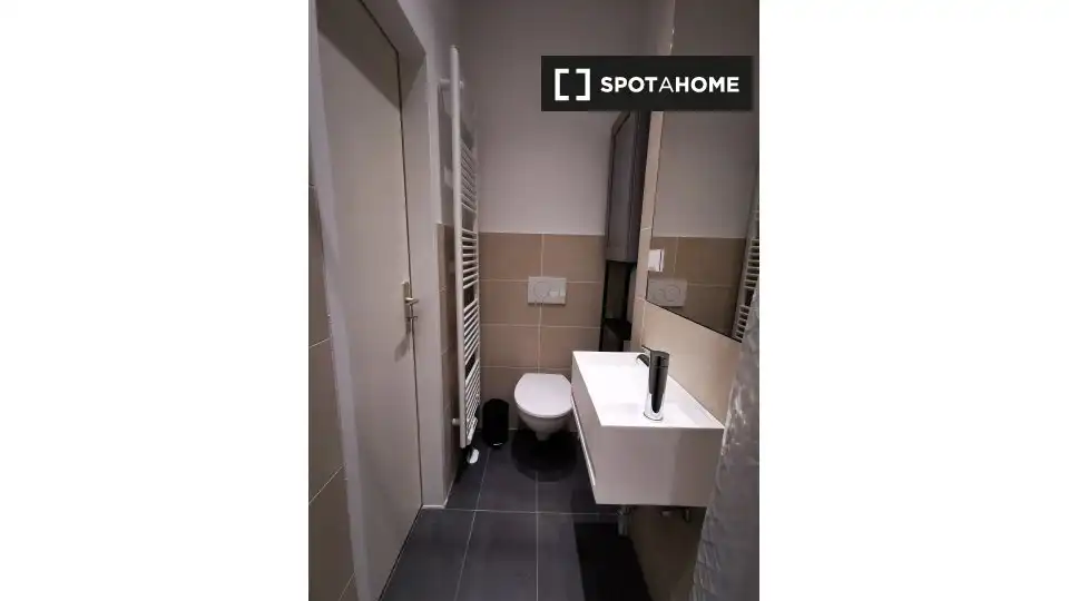 Bathroom of Study for share in Tomelloso  with Air Conditioner, Terrace and Furnished
