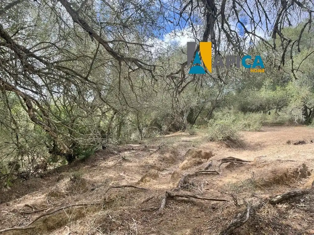 Terreni e lotti in vendita a Vejer, imagen 13