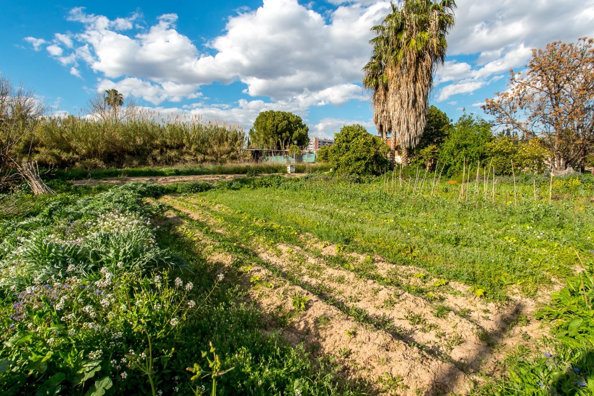 Country house for sale in  Murcia Capital