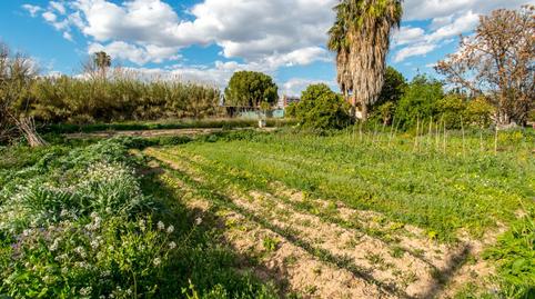 Foto 3 de Finca rústica en venda a Camino Senda Granada, 104, Guadalupe, Murcia