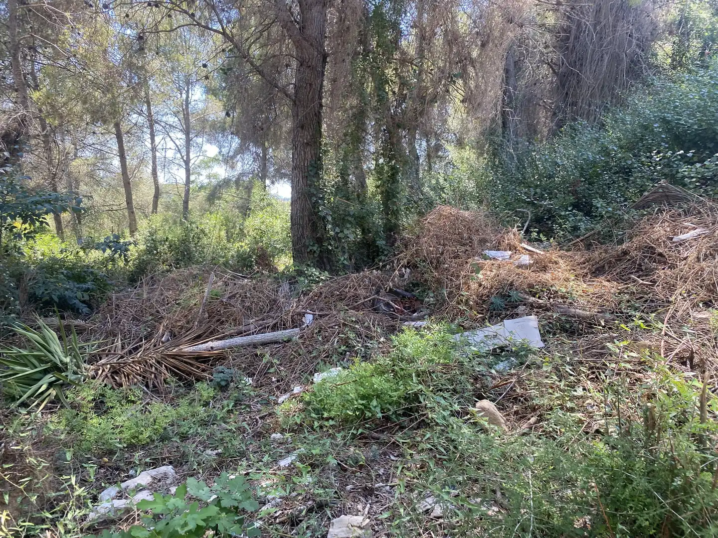 Residential land for sale in Urbanitzacions de Llevant, imagen 9