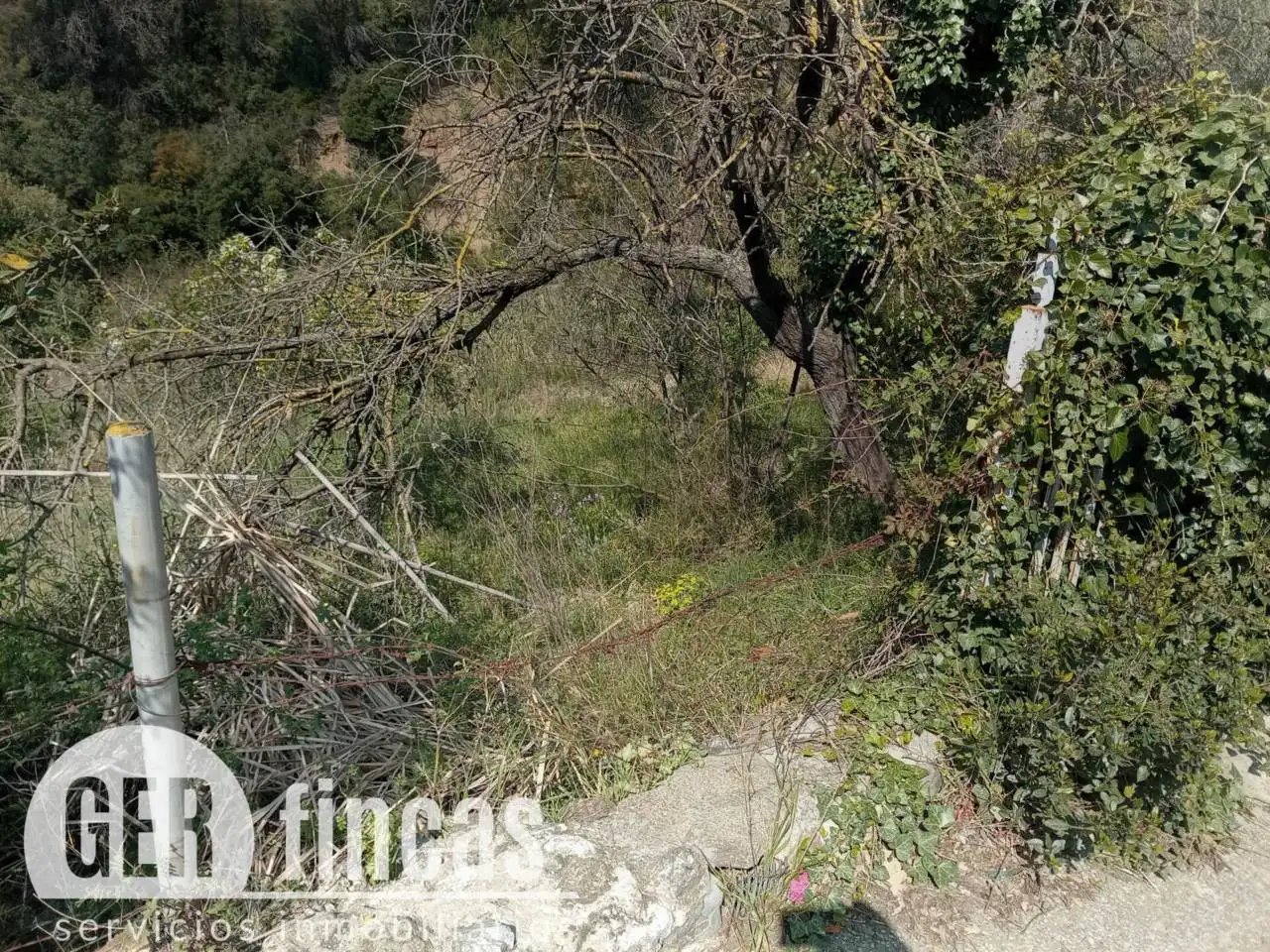 Rural land for sale in Calle Calera, imagen 3