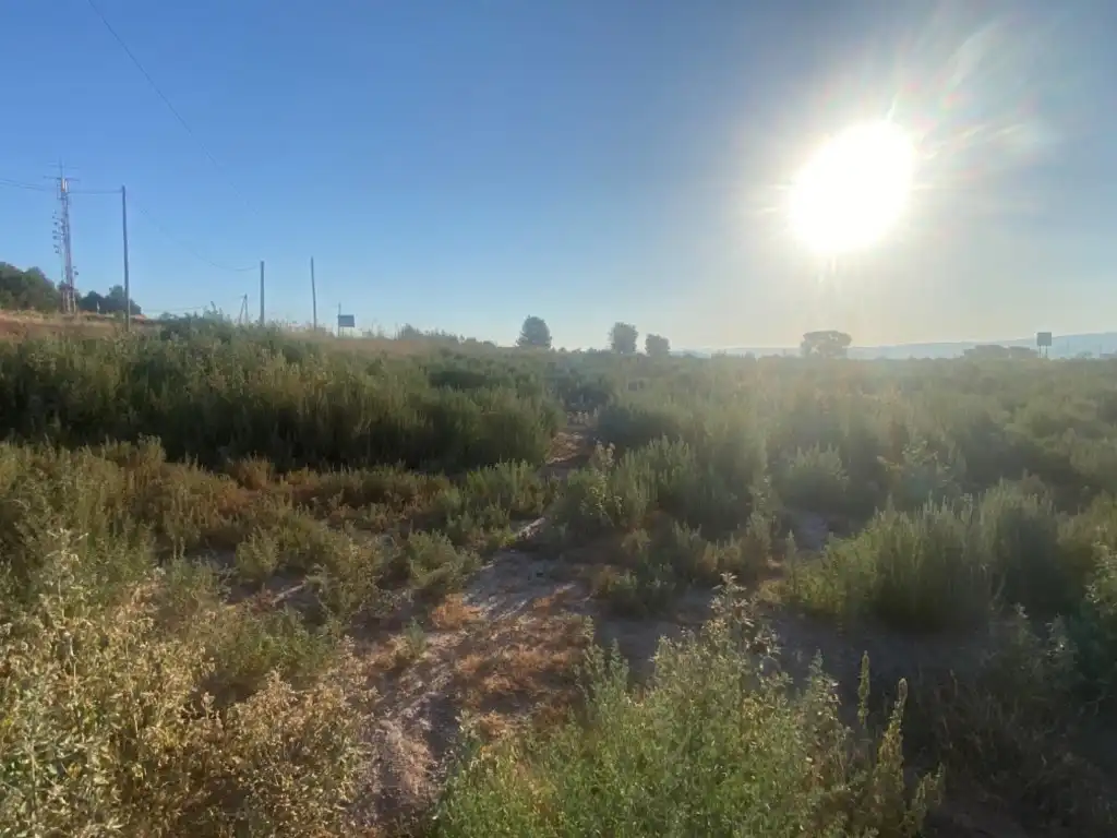 Terreny residencial en venda a Sant Fruitós de Bages, imagen 17