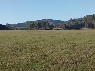 Terreno rustico in vendita a Centro - Juan Flórez - Plaza Pontevedra