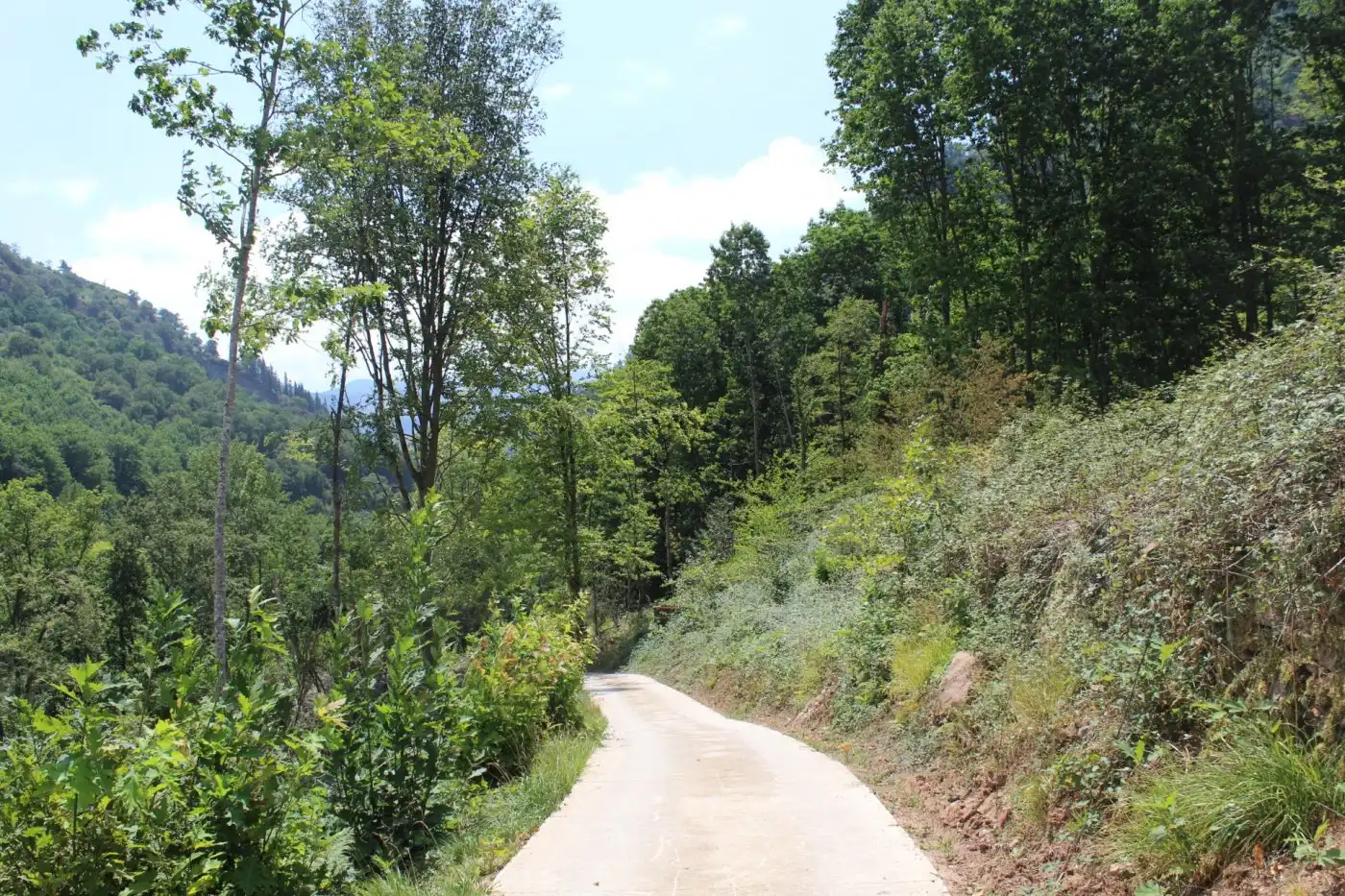 Vista exterior de Finca rústica en venta en Sunbilla