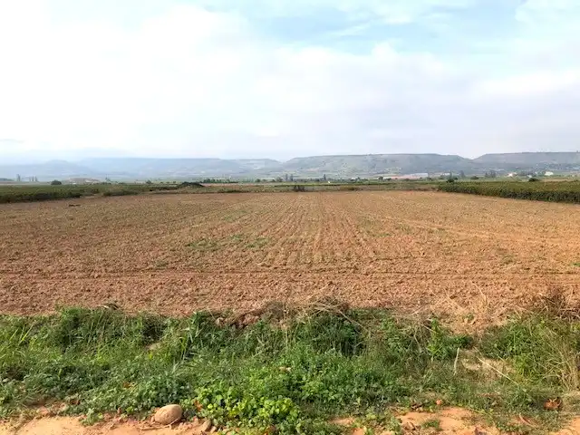 Terreny rústic en venda a Navarrete, imagen 2