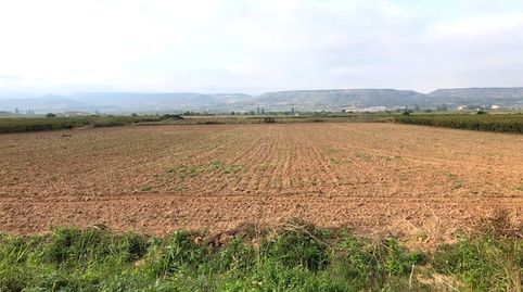 Finca de regadío en Navarrete, imagen 2