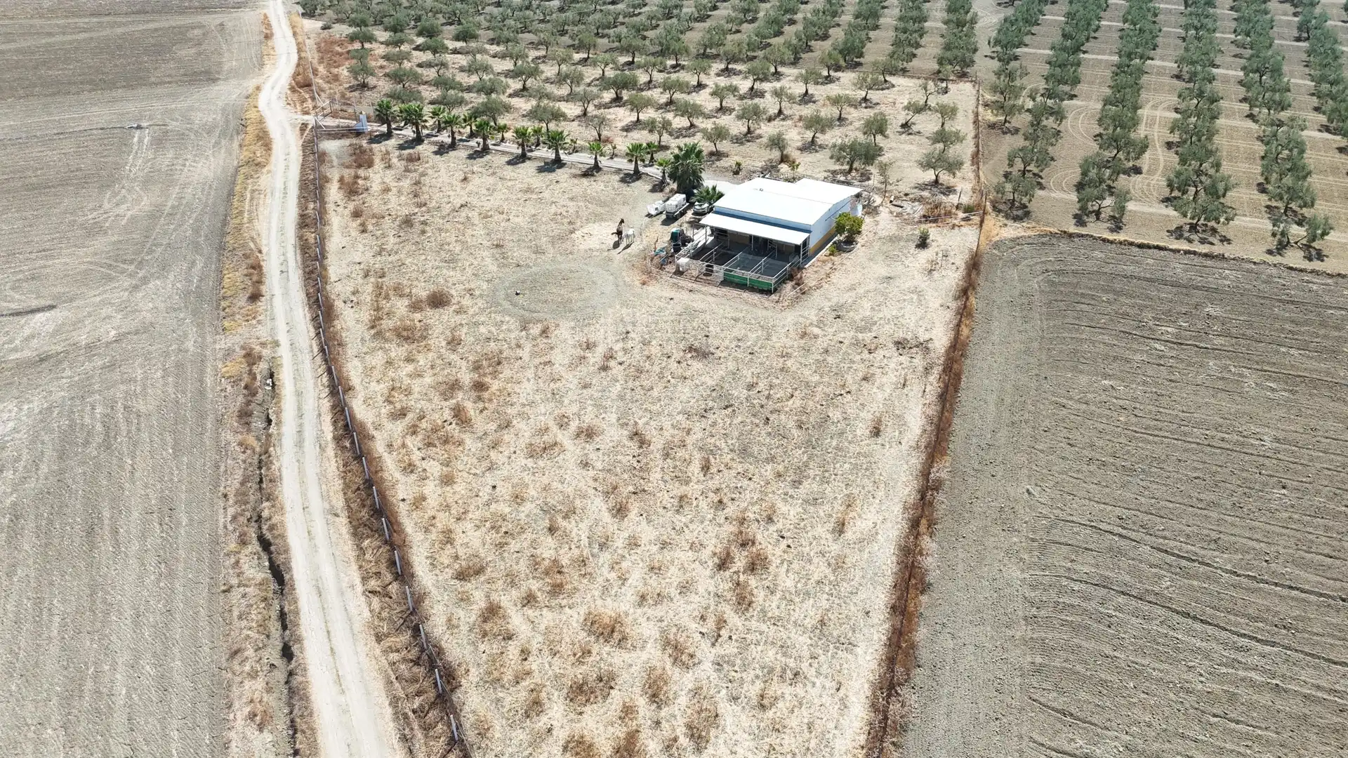 Rural land for sale in Polígono 12 Parcela 177 LA CORIANA. OLIVARES (SEV, imagen 4