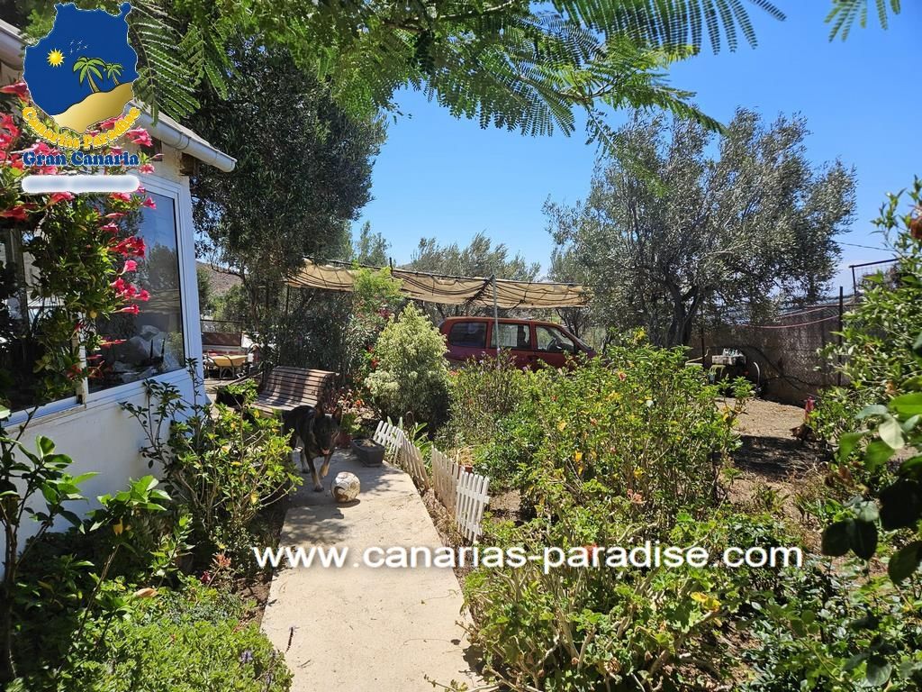 Garden of Country house for sale in Telde  with Furnished