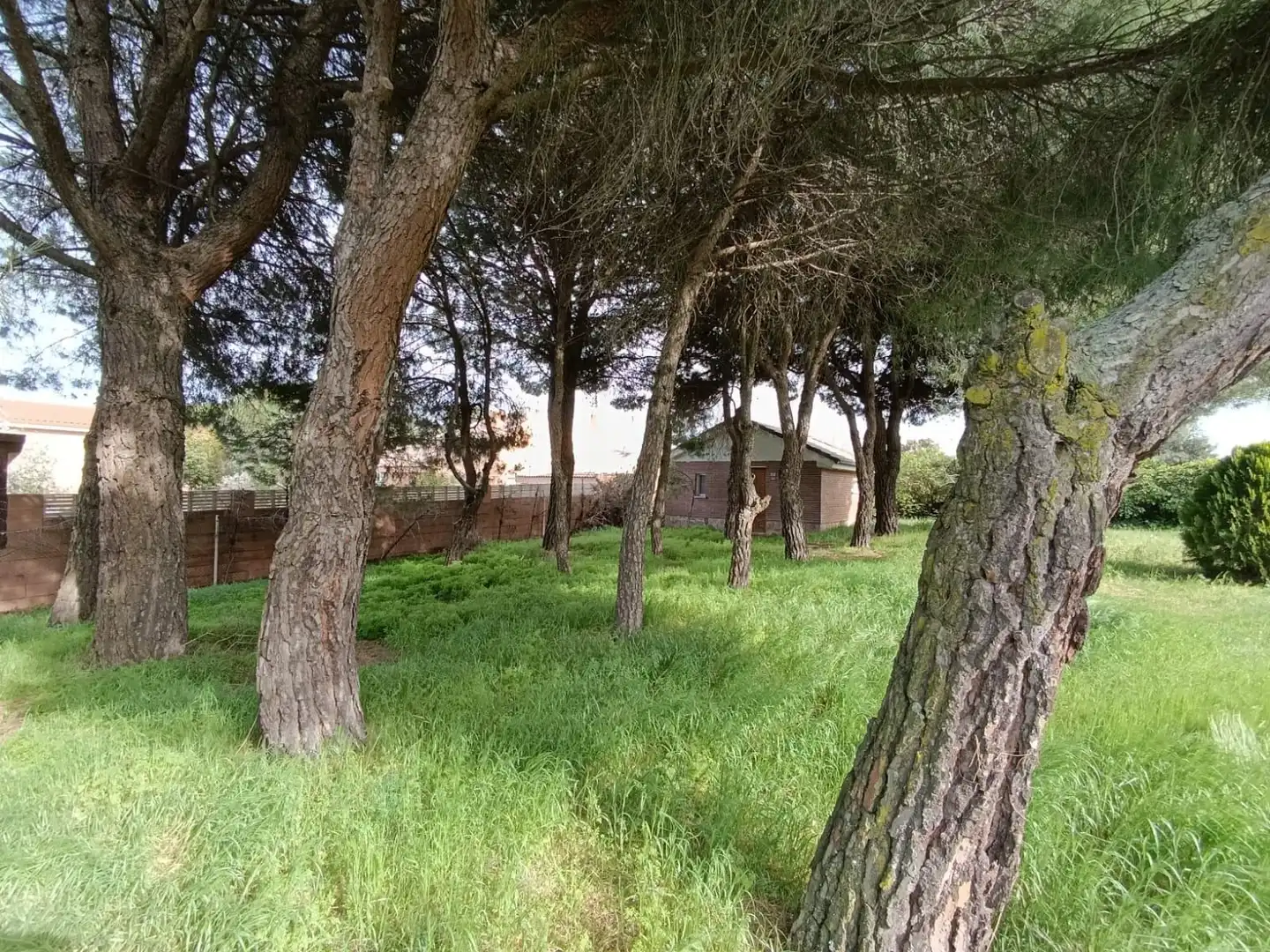 Casa o chalet en venta en Pedrezuela con Calefacción, Jardín privado y Terraza