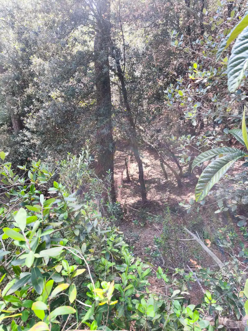 Terrain résidentiel à vendre à Carrer de la Font del Querol 19, imagen 20