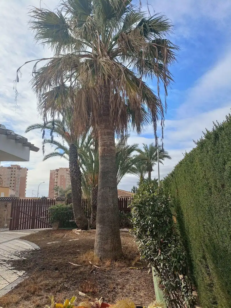 Casa o xalet en venda a N/A, -1, Campoamor