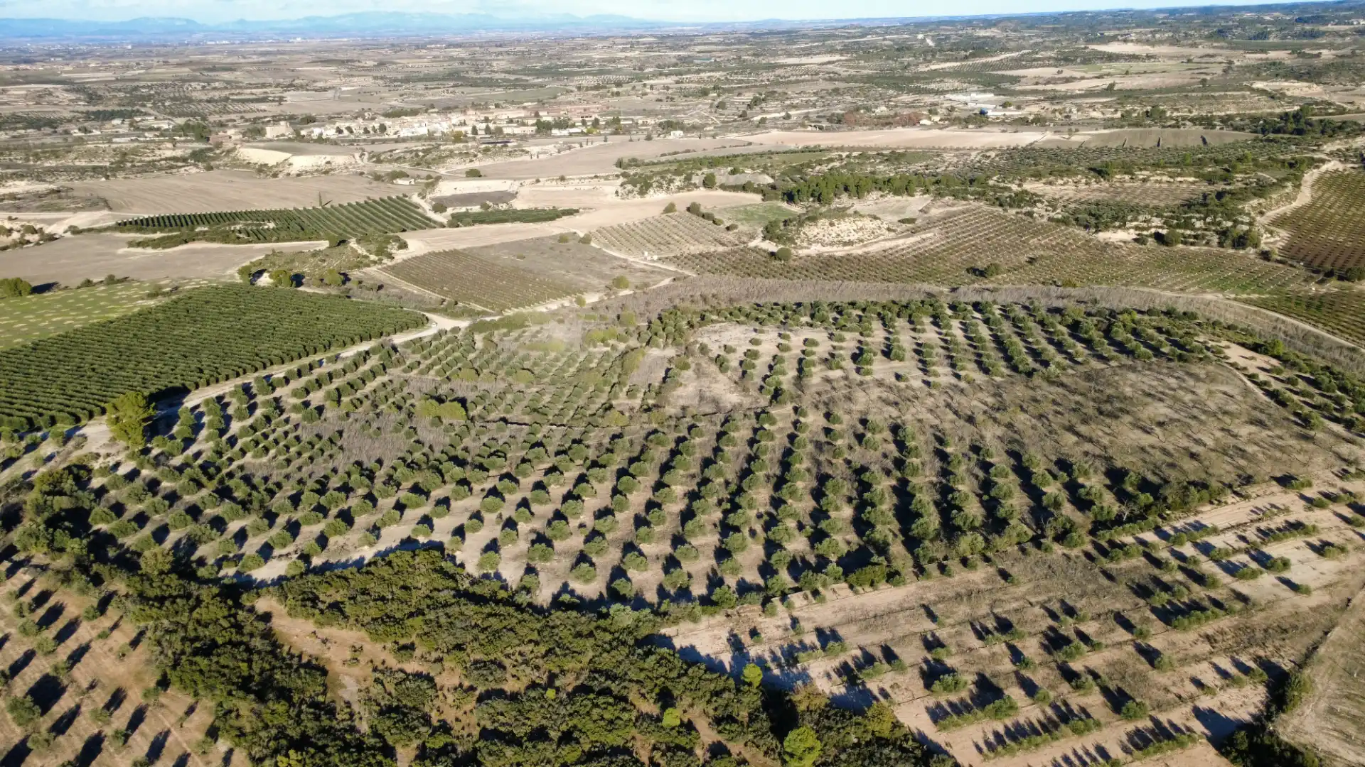 Terreny rústic en venda a Les Borges Blanques, imagen 4