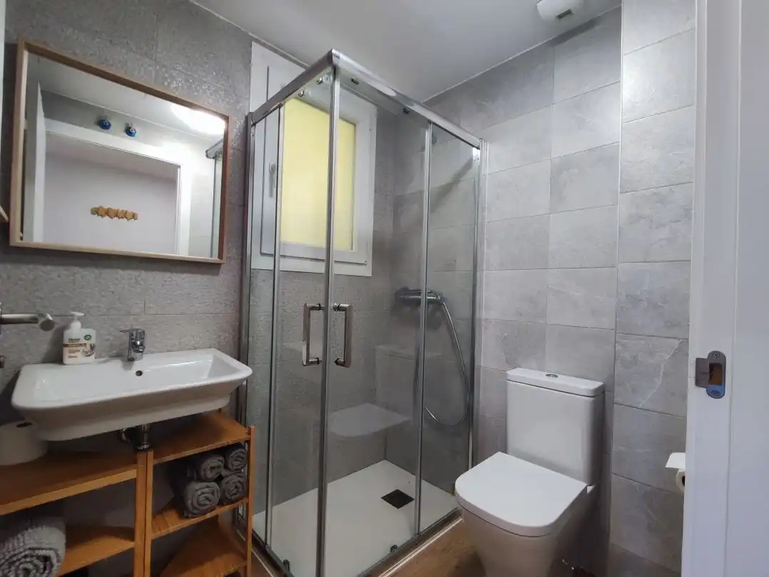 Flat for rent in Paseo casares, Altza