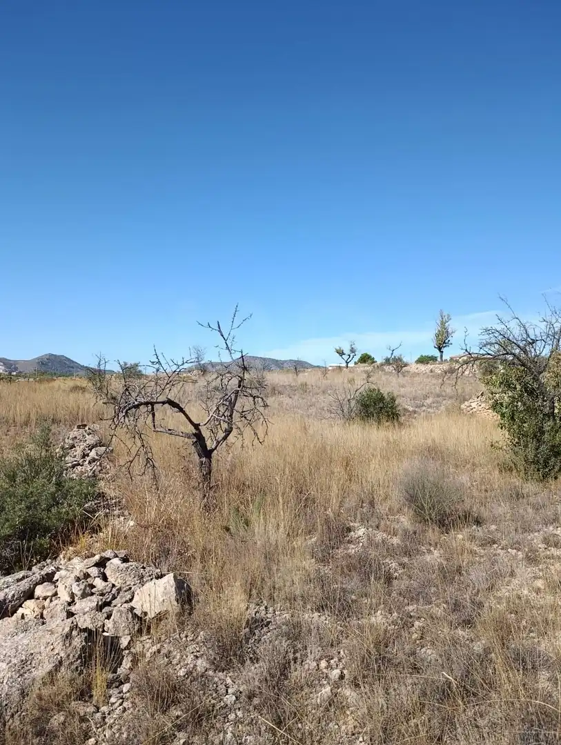 Terreno rustico in vendita a Hondón de las Nieves / El Fondó de les Neus, imagen 19