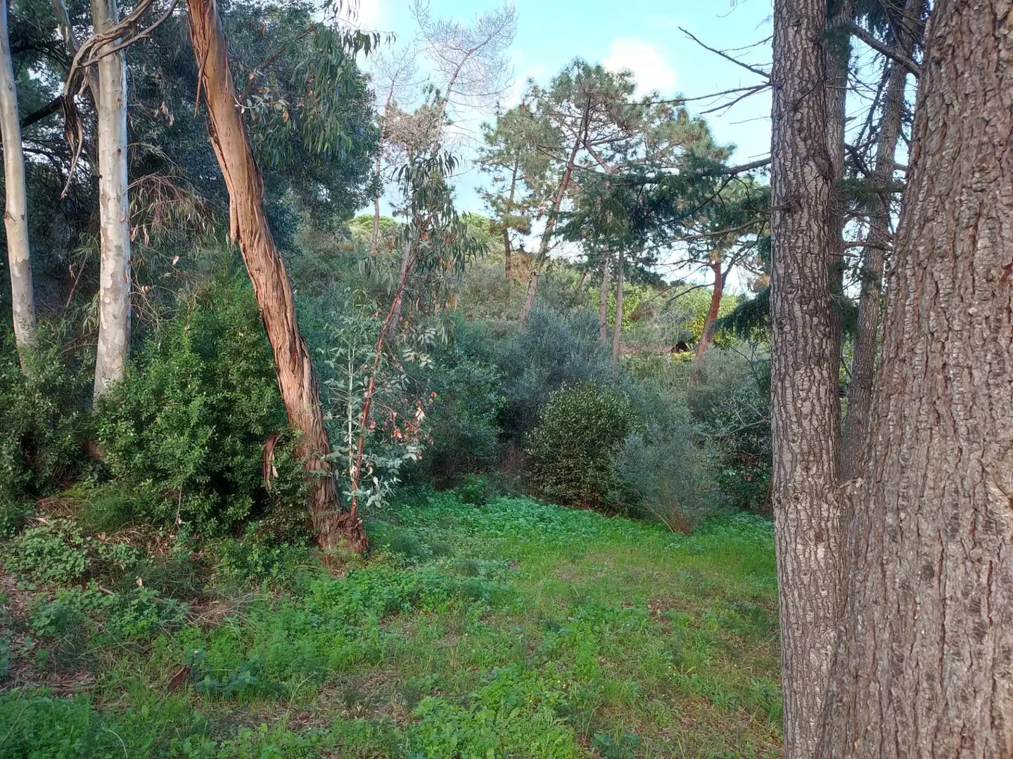 Detached house with terrace for sale in Canet de Mar, imagen 4