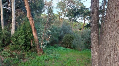 Foto 4 de Casa o chalet en venta en Canet de Mar, Barcelona