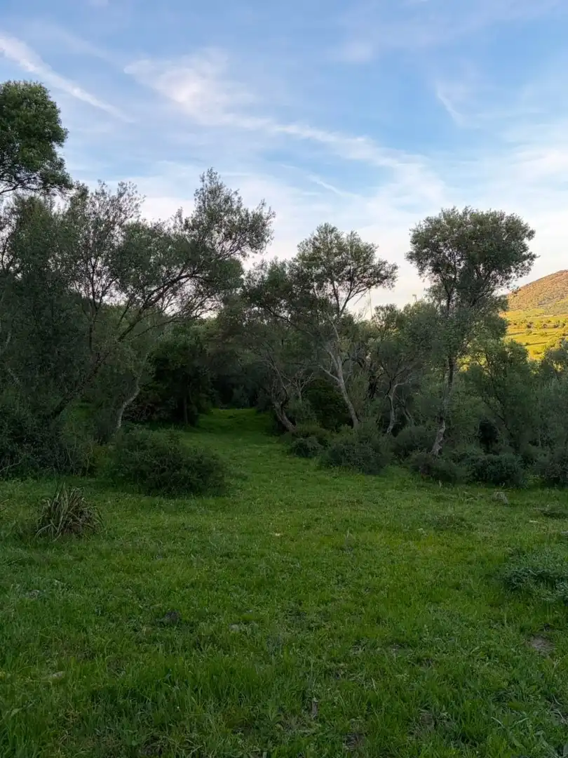 Finca rústica en venta en Tarifa