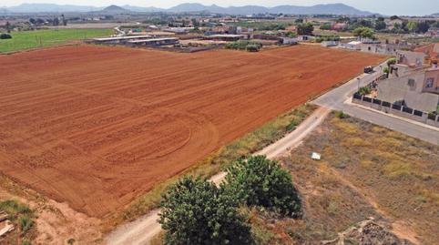Foto 4 de Finca rústica en venda a Calle Casicas, Las-ds el Plan, Polígono Santa Ana, Cartagena