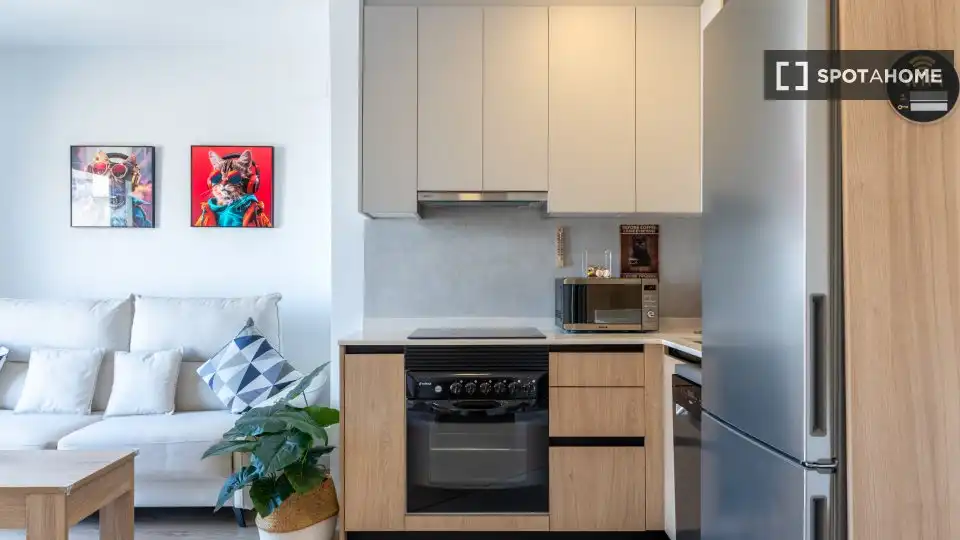 Kitchen of Study for share in Elche / Elx  with Air Conditioner, Terrace and Furnished