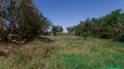 Terrenos en venta en Gójar, imagen 3