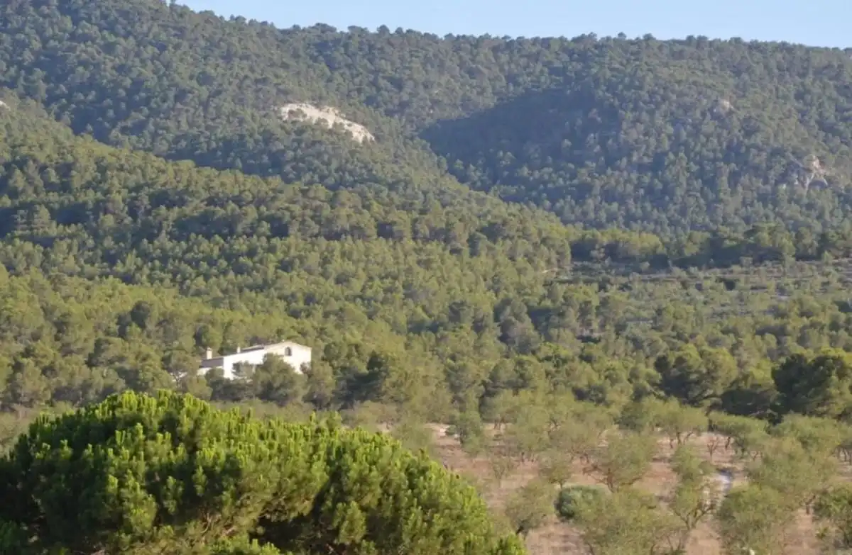 Haus zum Verkauf in Las Virtudes, imagen 7