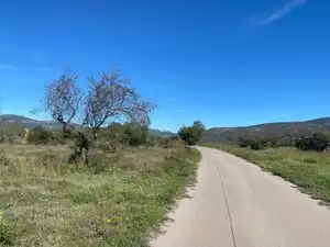 Terreno en venta en El Pont d'Armentera