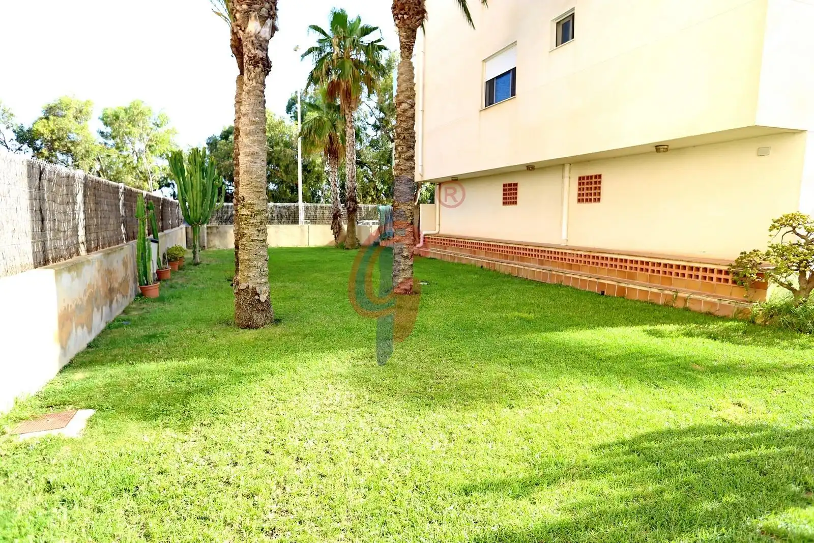 Jardí de Apartament en venda en Guardamar del Segura amb Aire condicionat, Calefacció i Terrassa