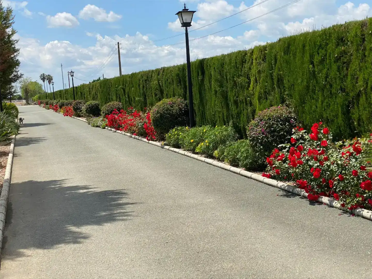 Pis en venda en Rinconada