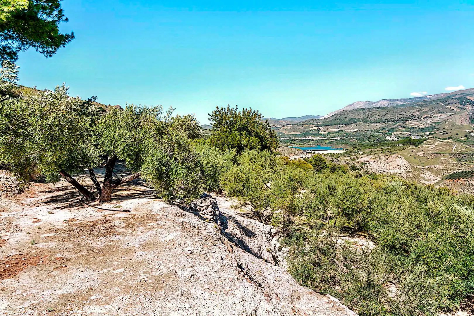 Terrain rustique à vendre à El Pinar, imagen 16