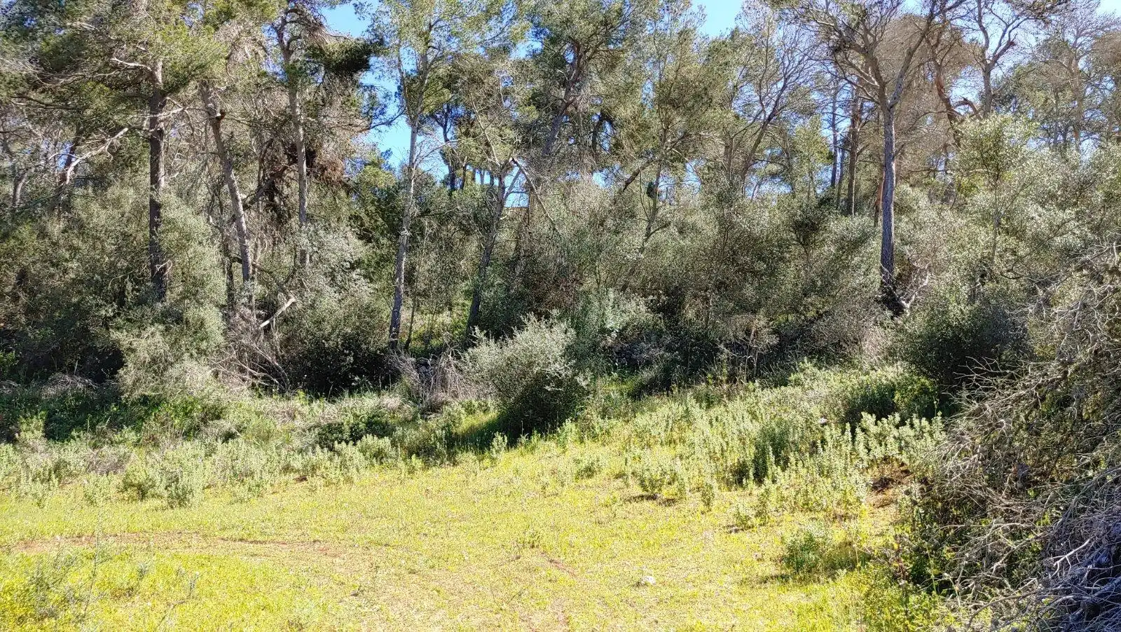 Residential land for sale in Polígono Polígono 33 Parcela 436, imagen 19